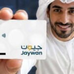 etihad-jaywan-card